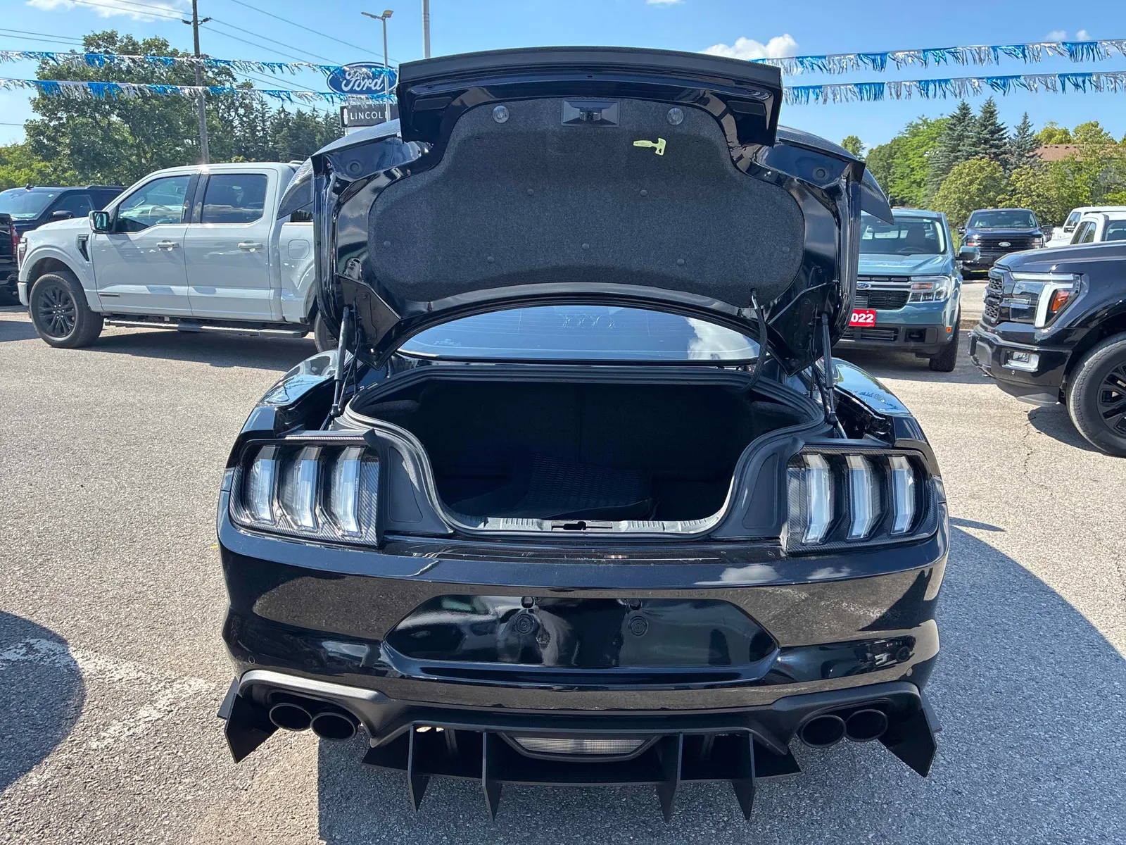 Additional Photo
