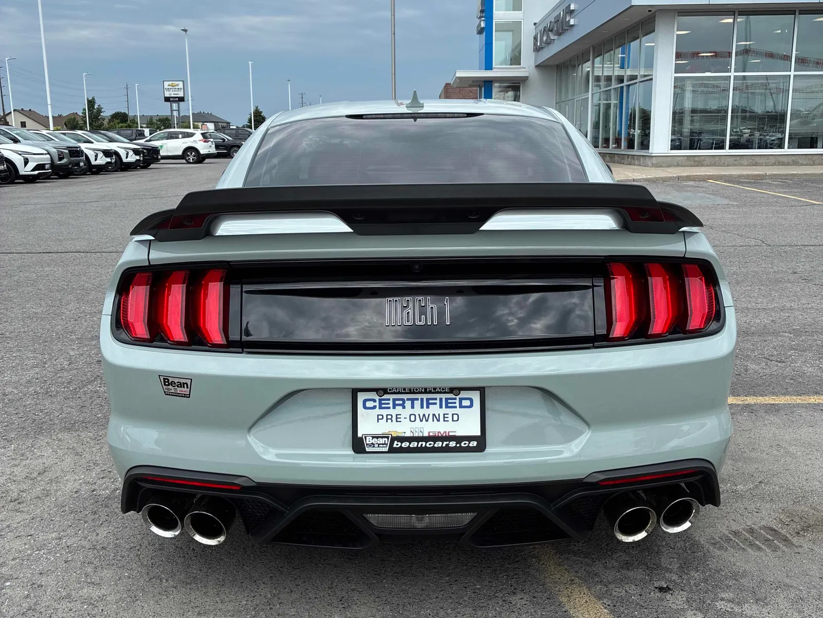 Back