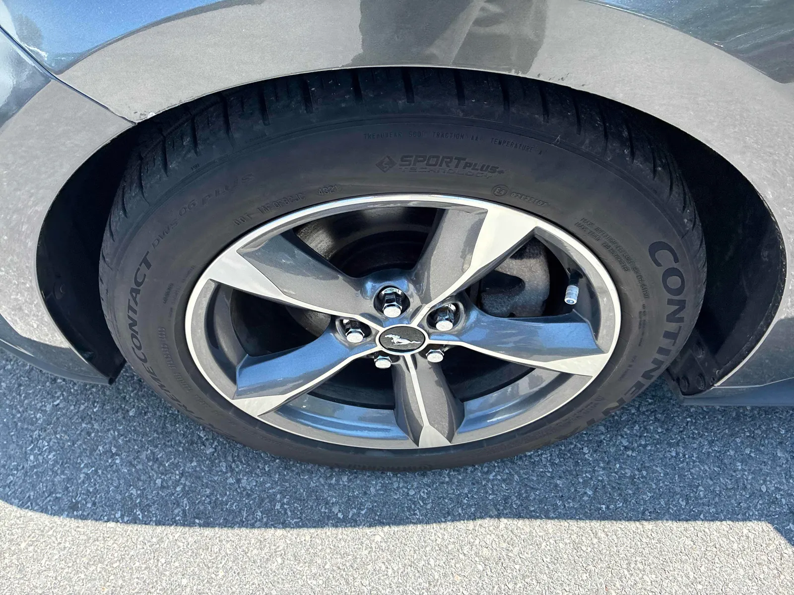 Tire