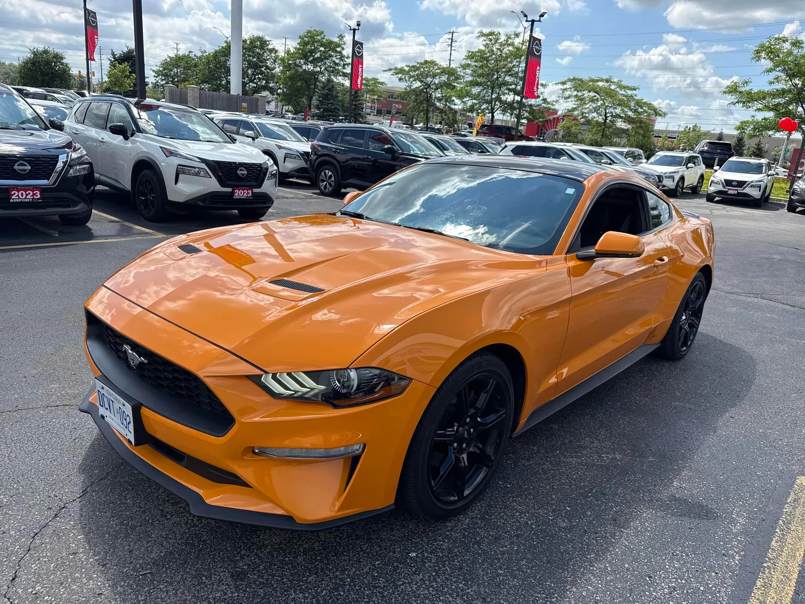 2019 Ford Mustang