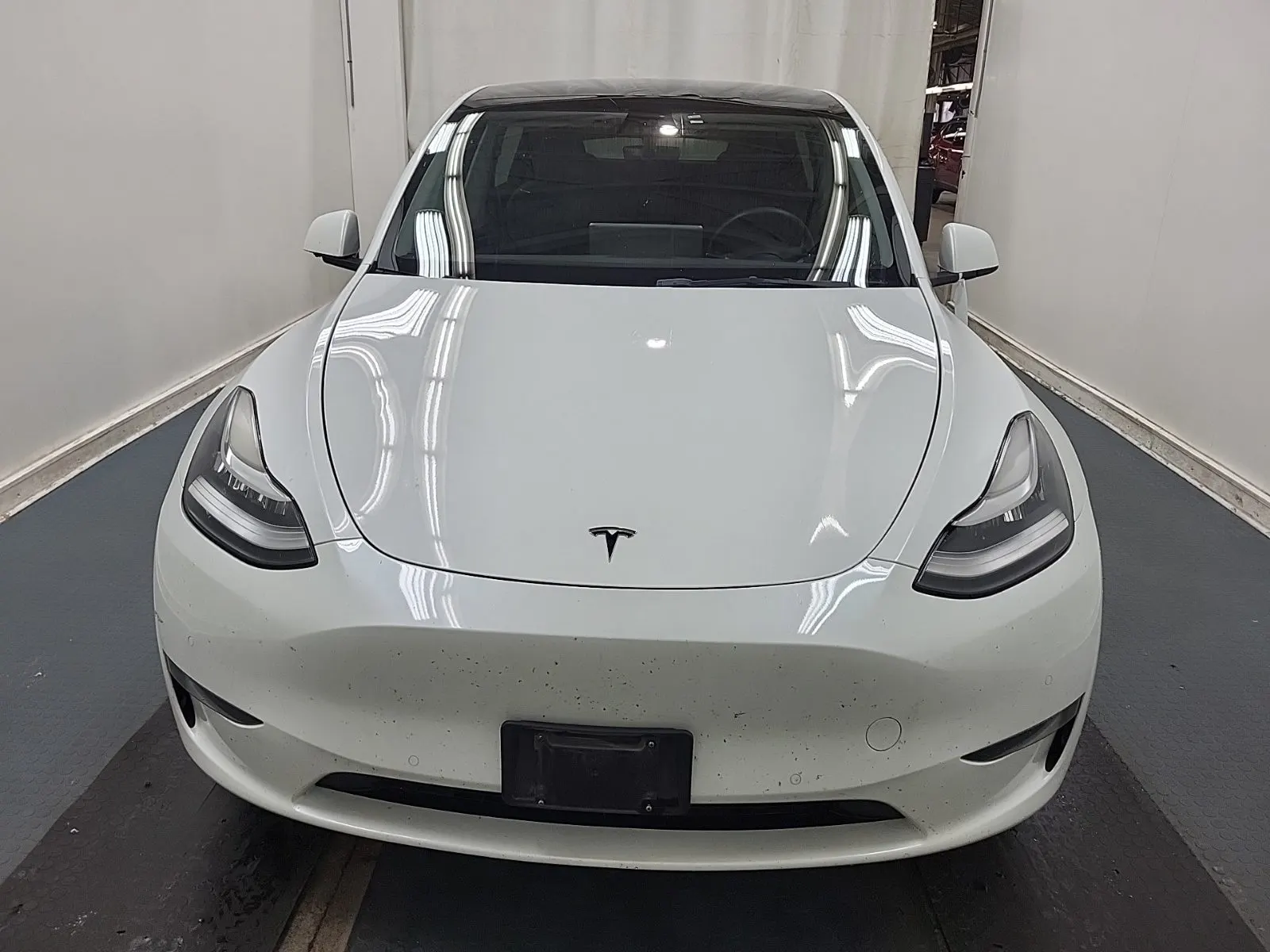Full Front Photo