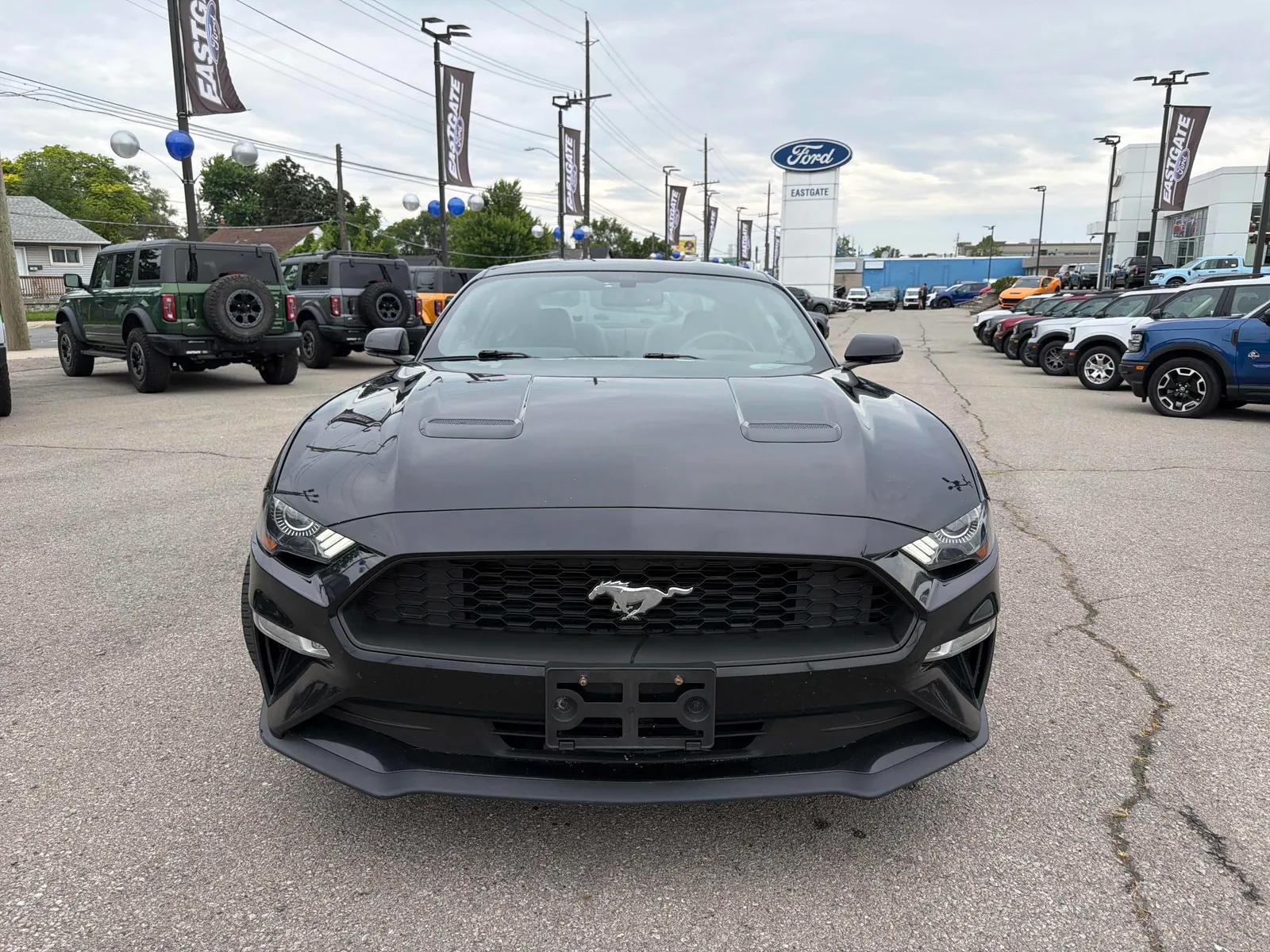 Front