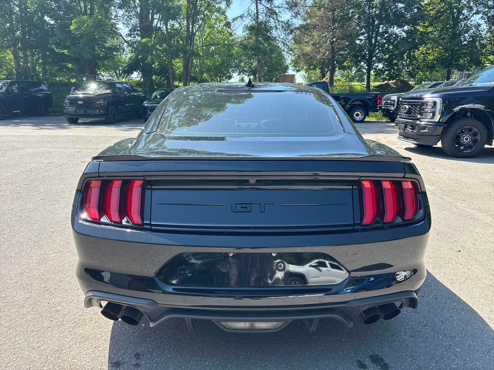 Back