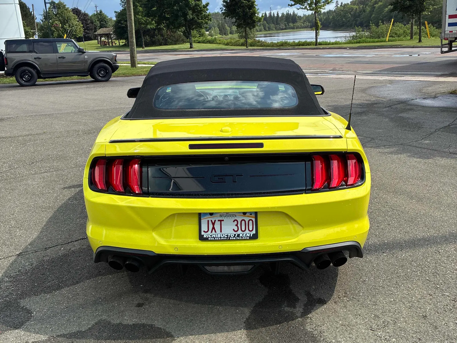 Back