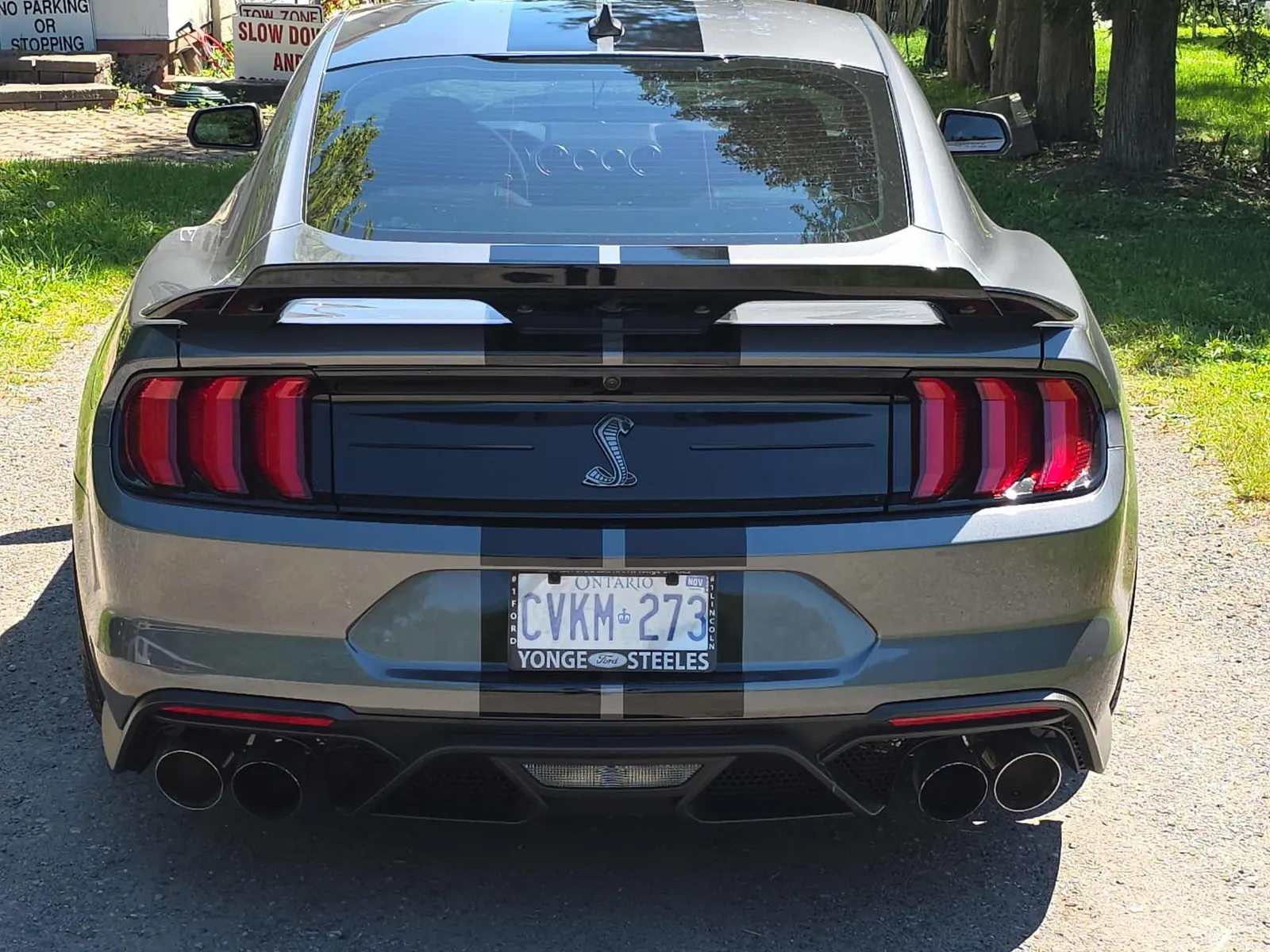 Back