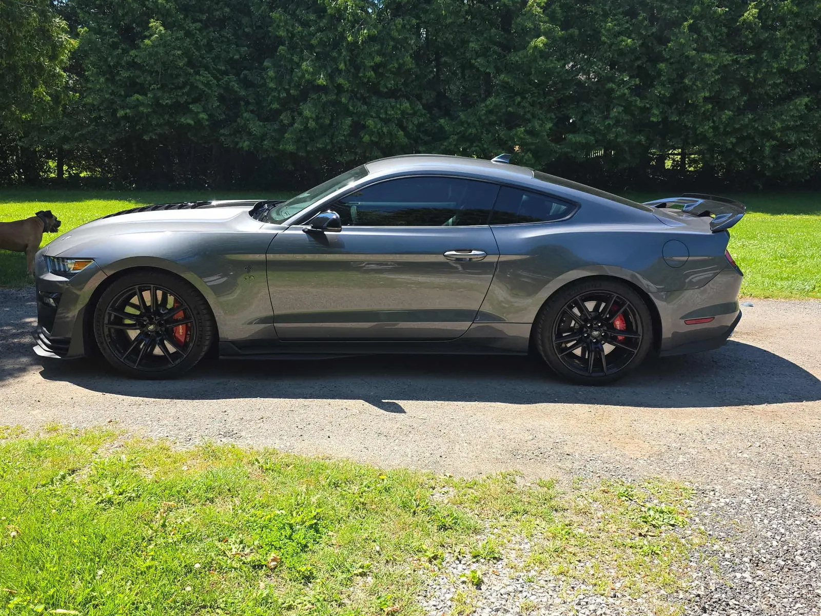 2021 Ford Mustang