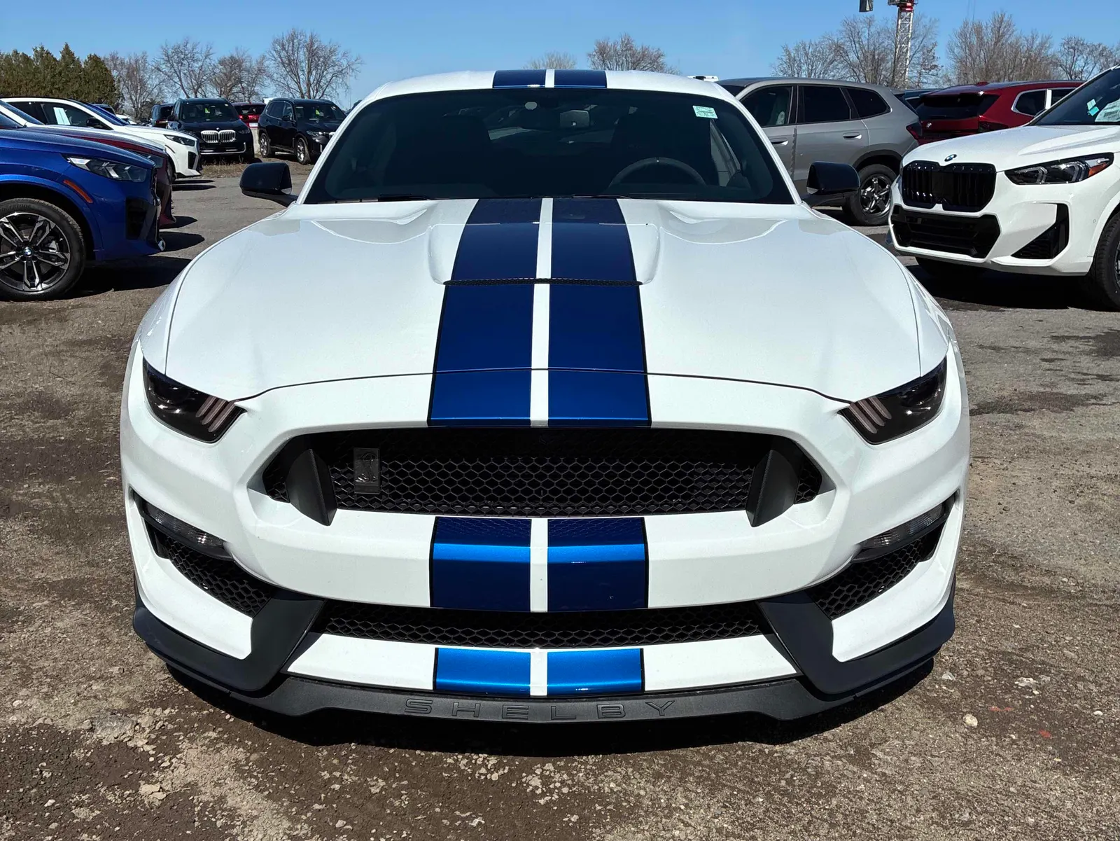 Front