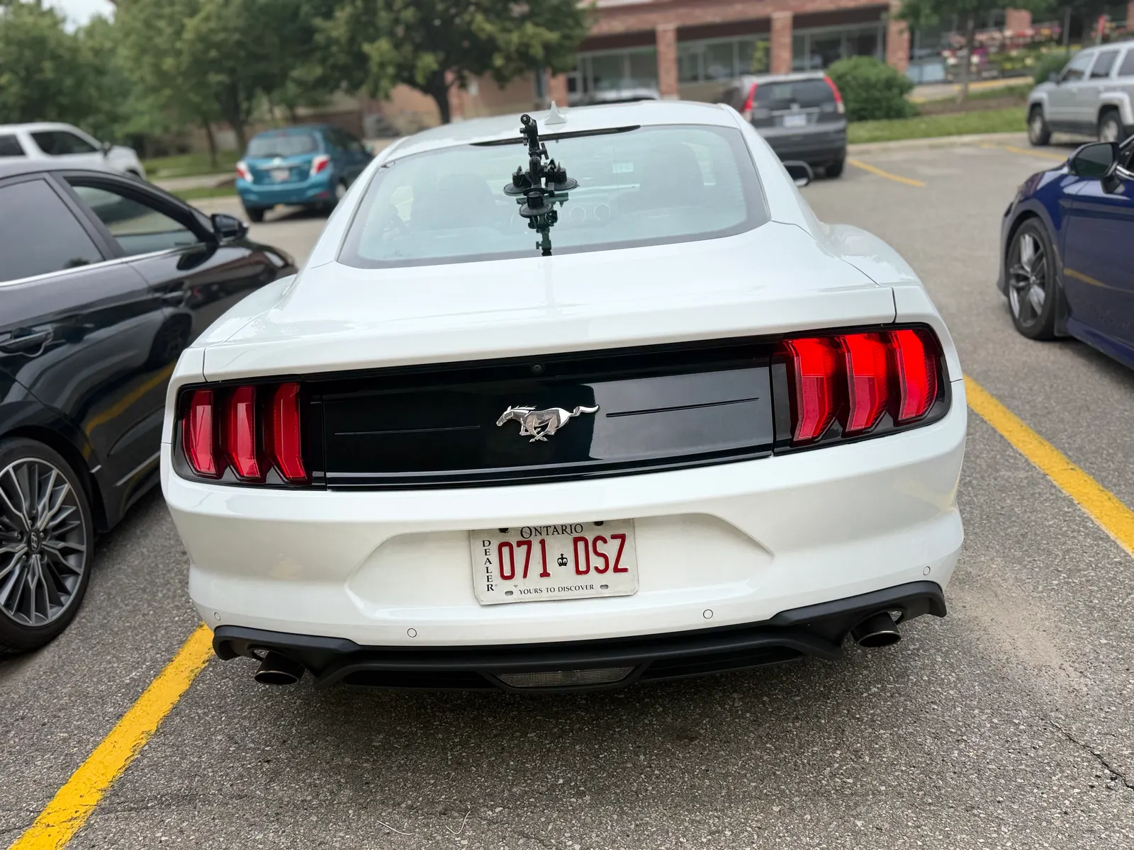 Back