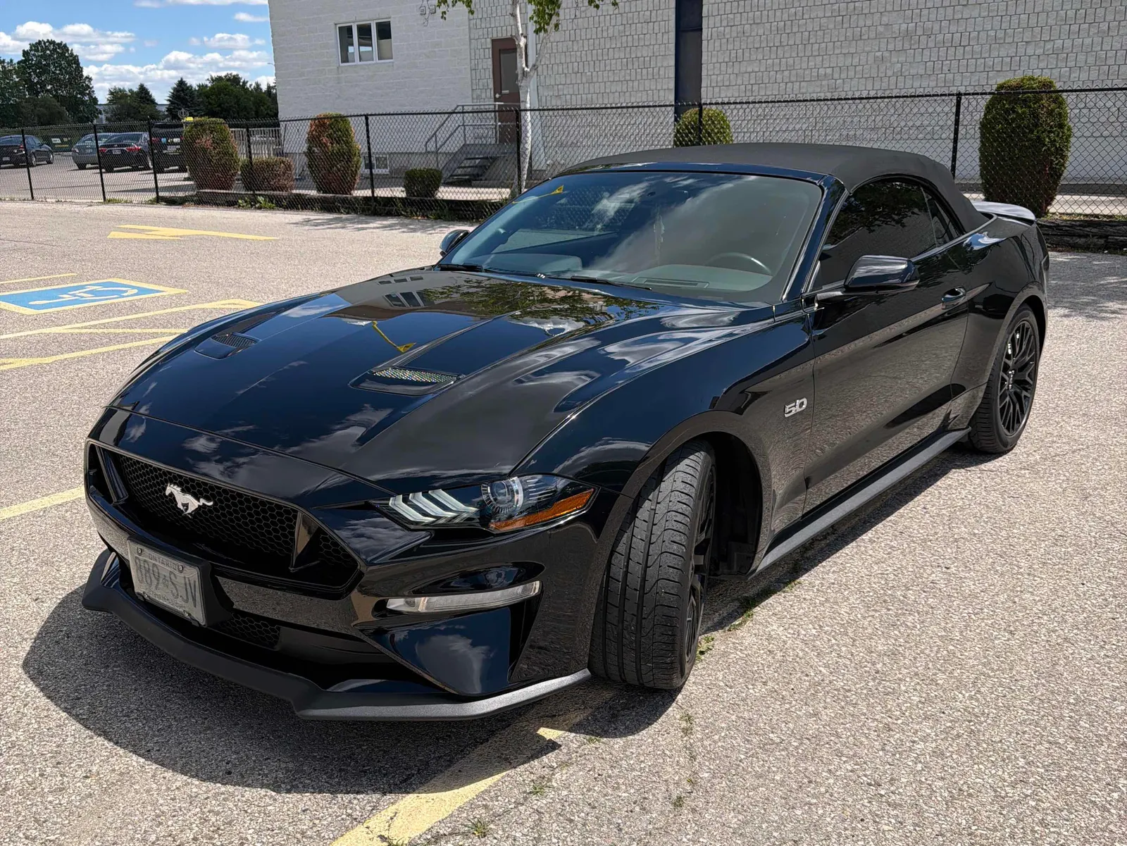 2019 Ford Mustang