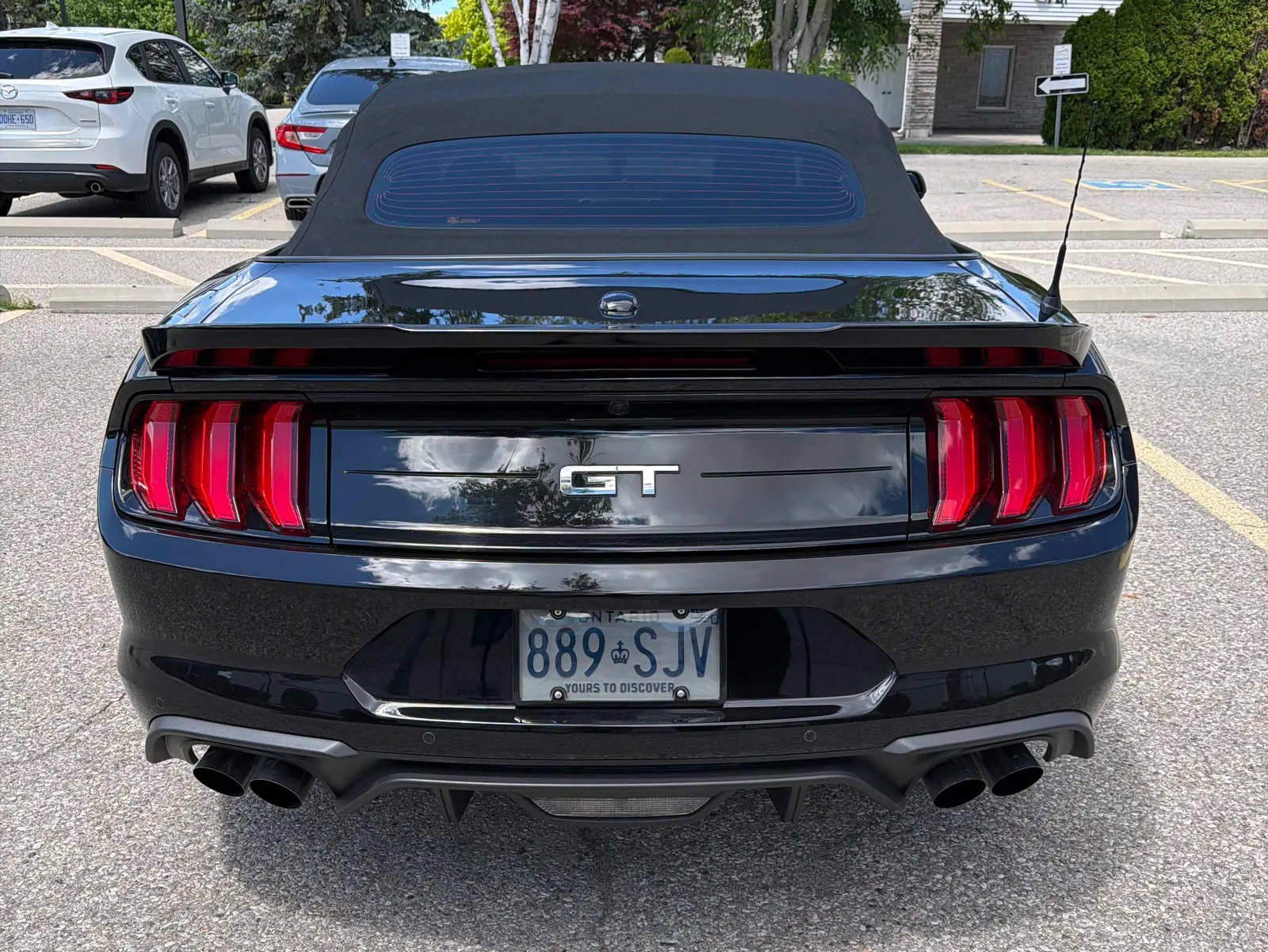 Back