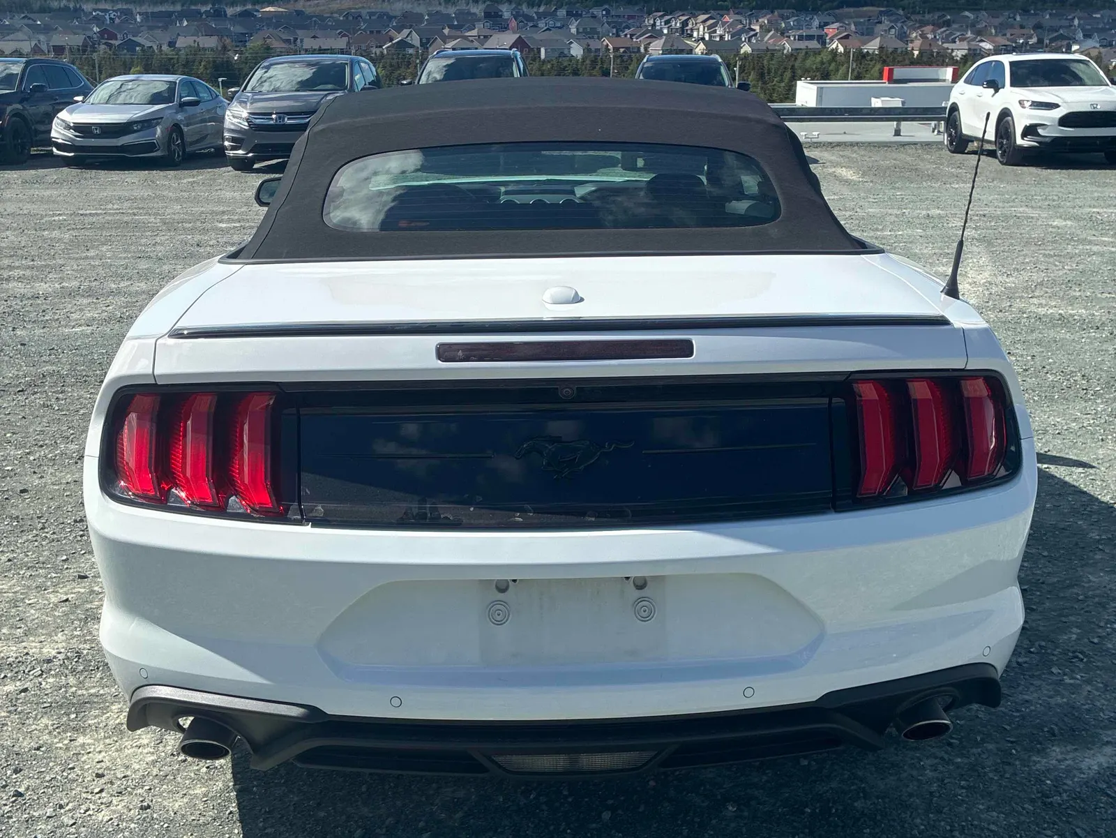 Back