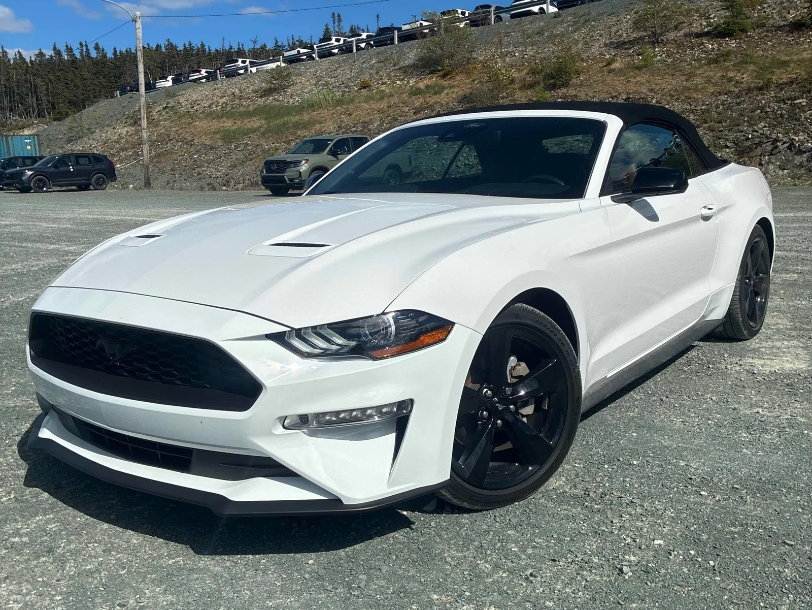 2021 Ford Mustang