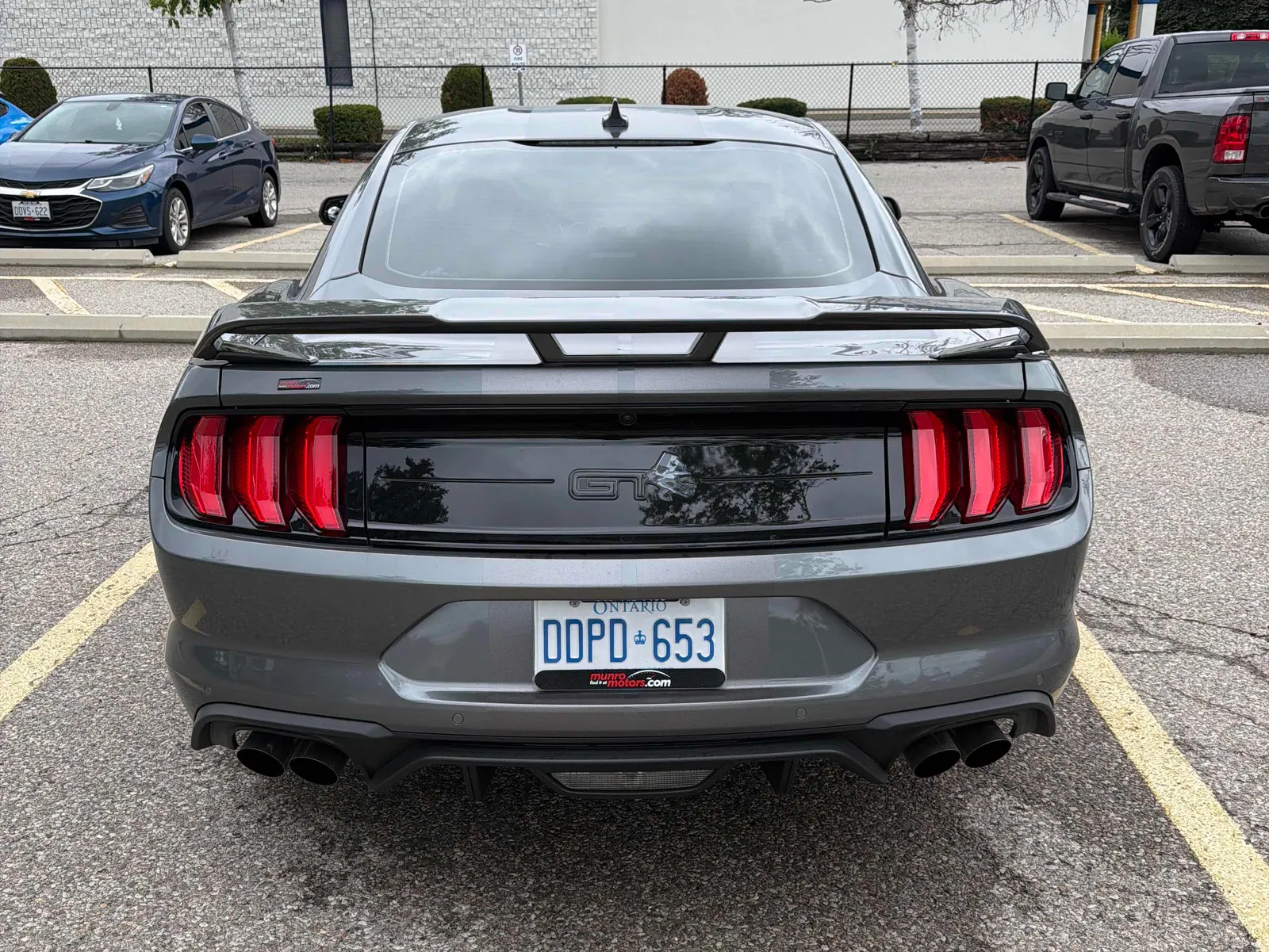 Back