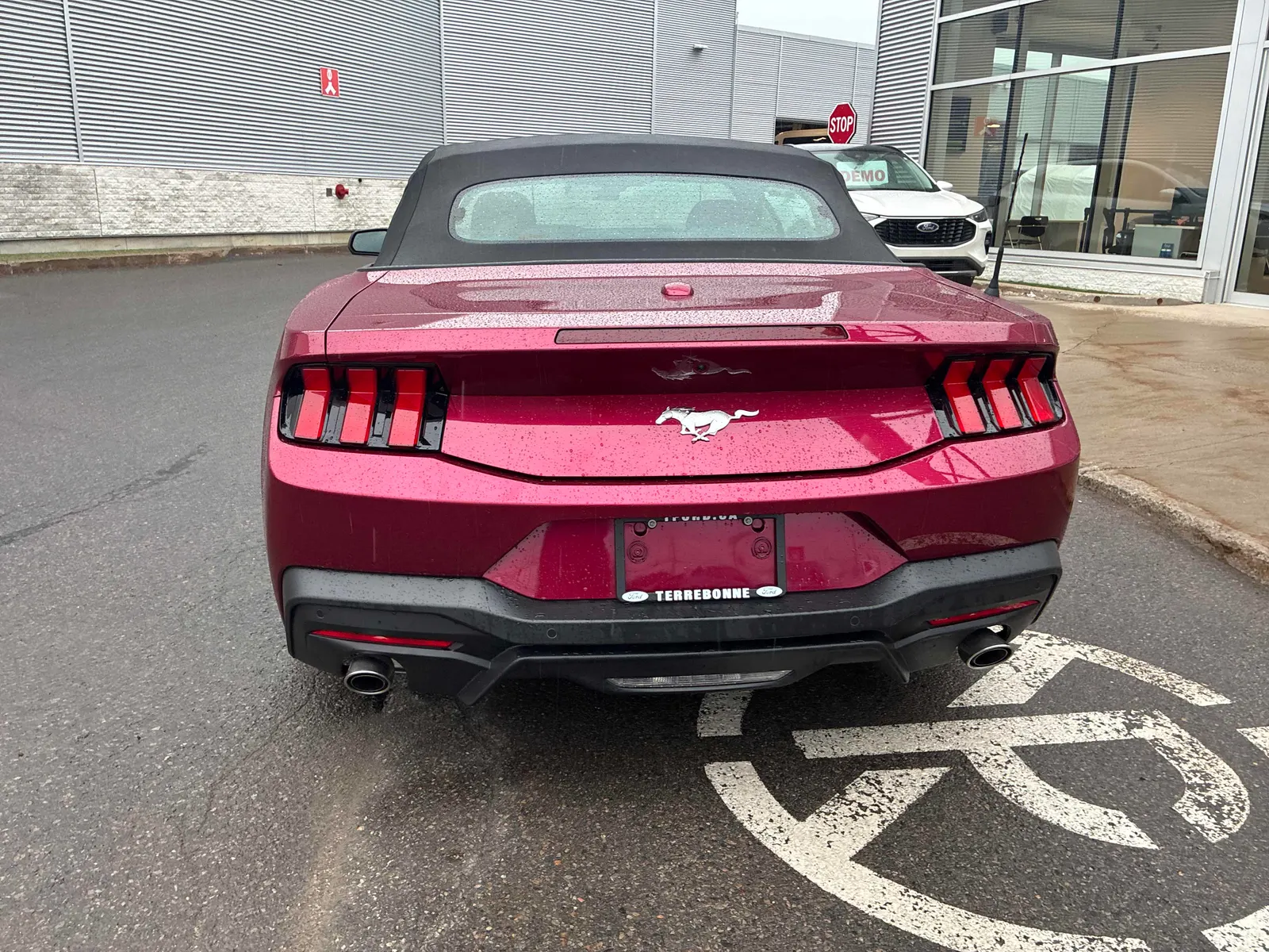 Back