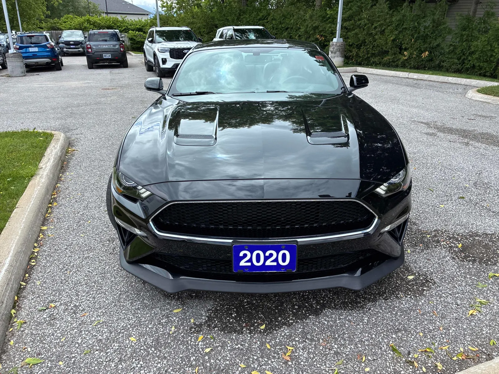 Front
