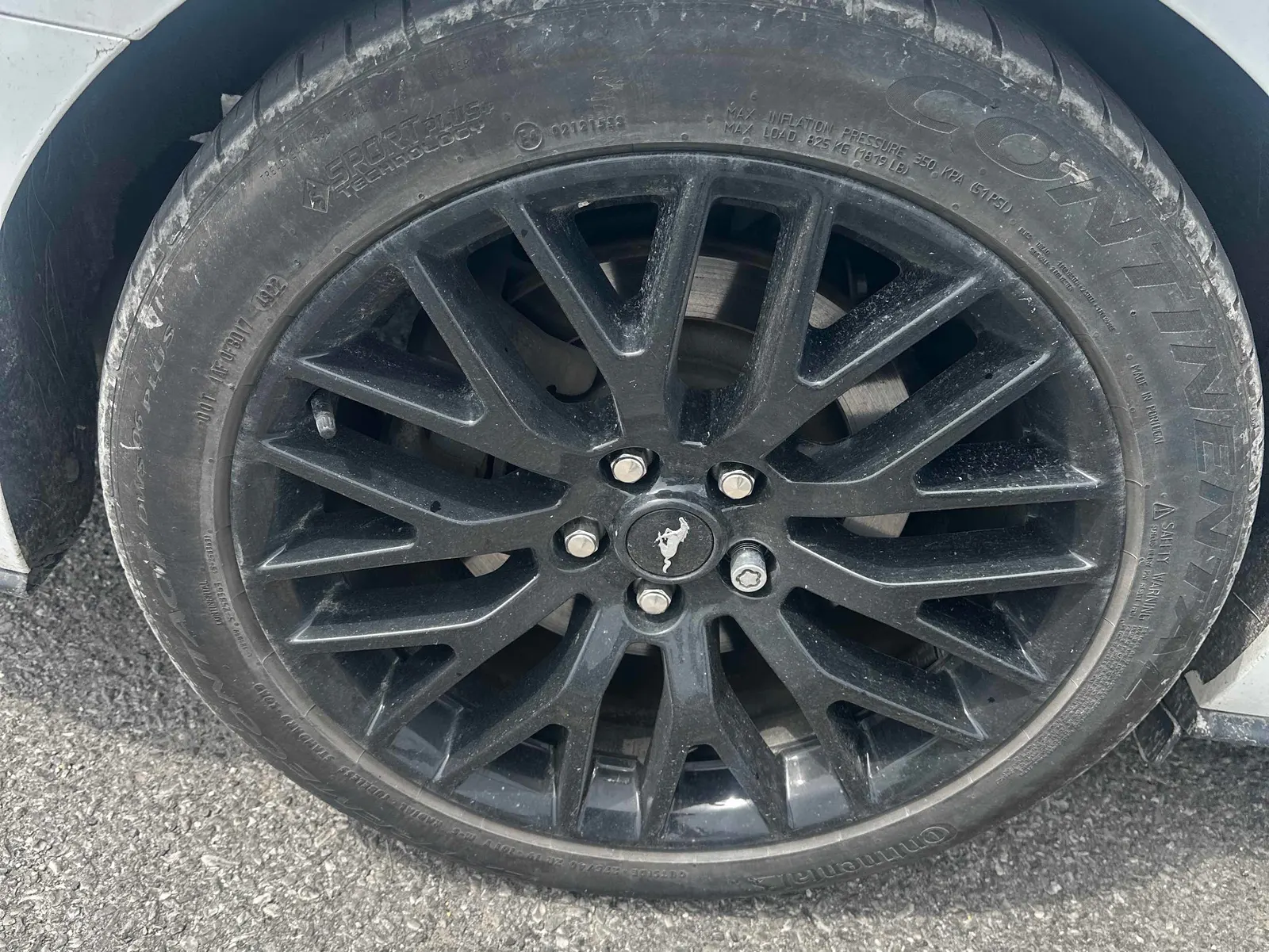 Tire