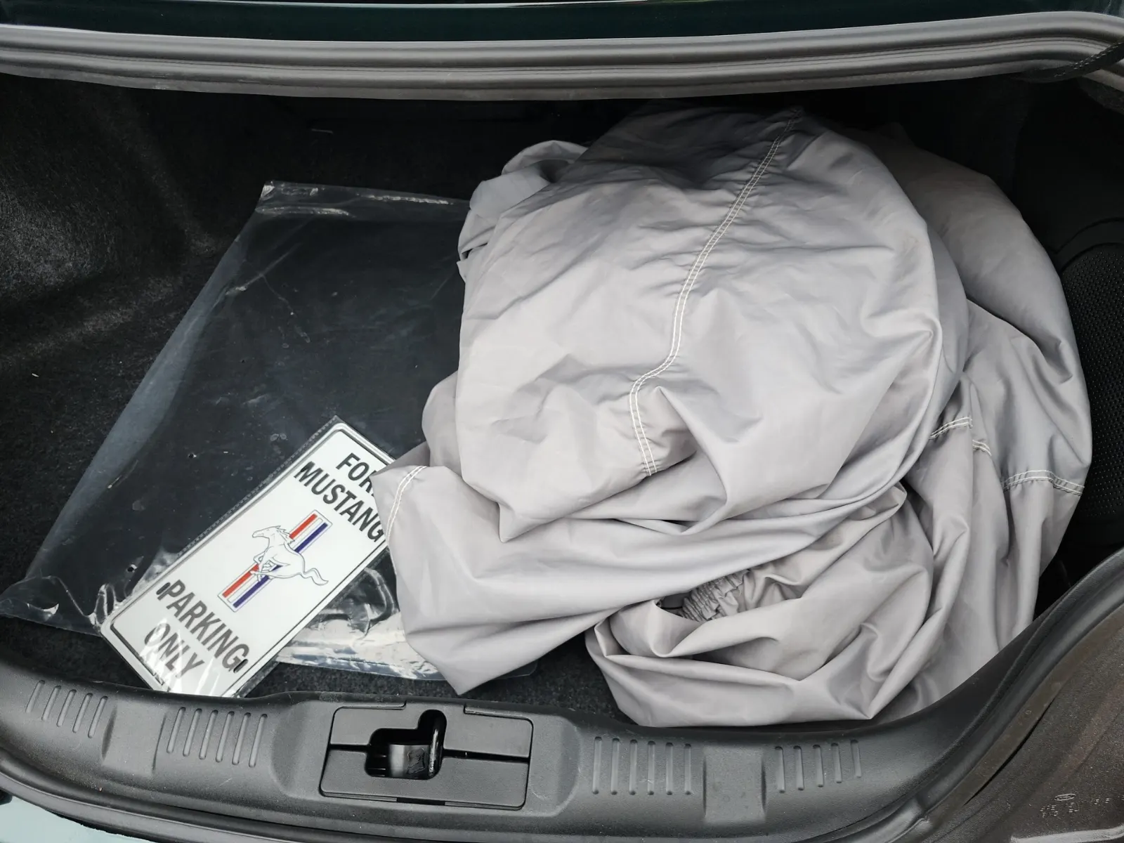 Cargo Area Photo