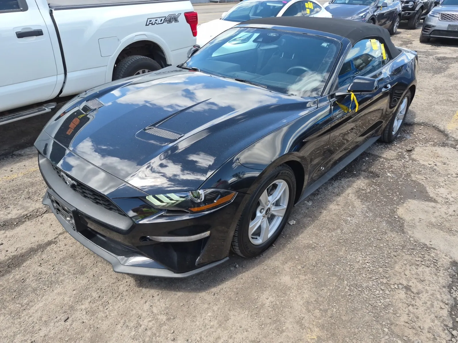 2022 Ford Mustang