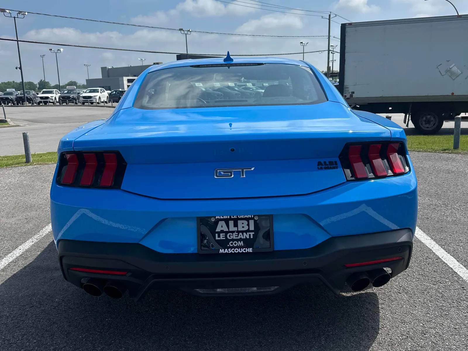 Back