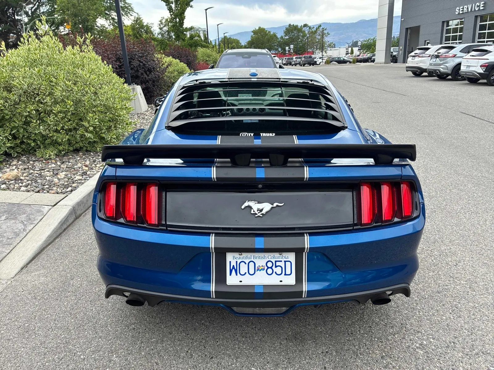 Back