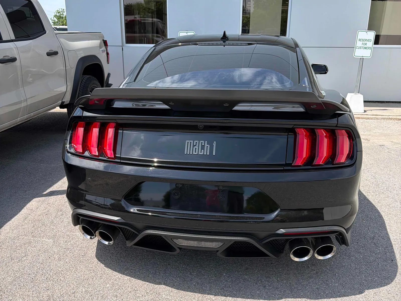 Back