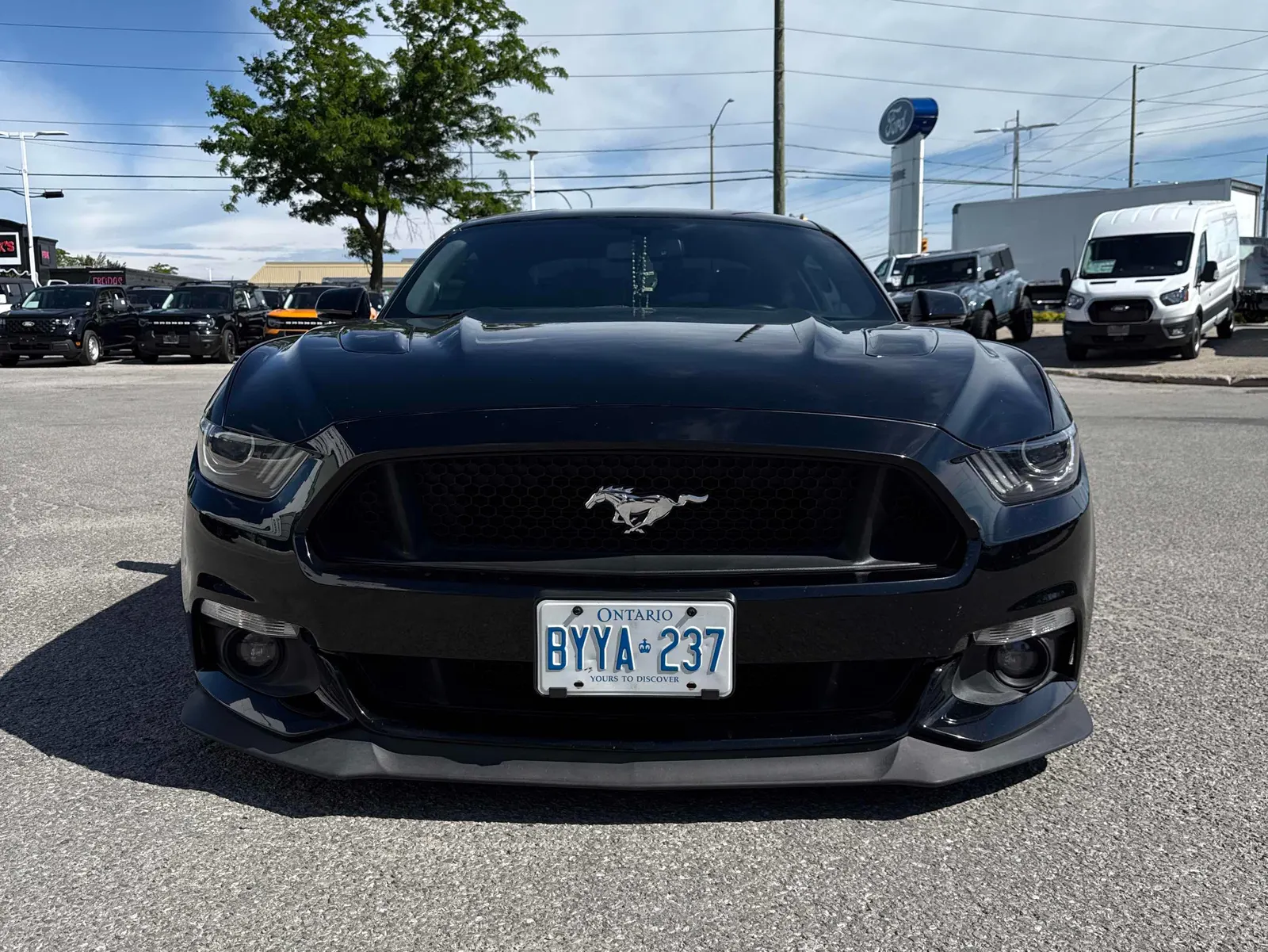 Front