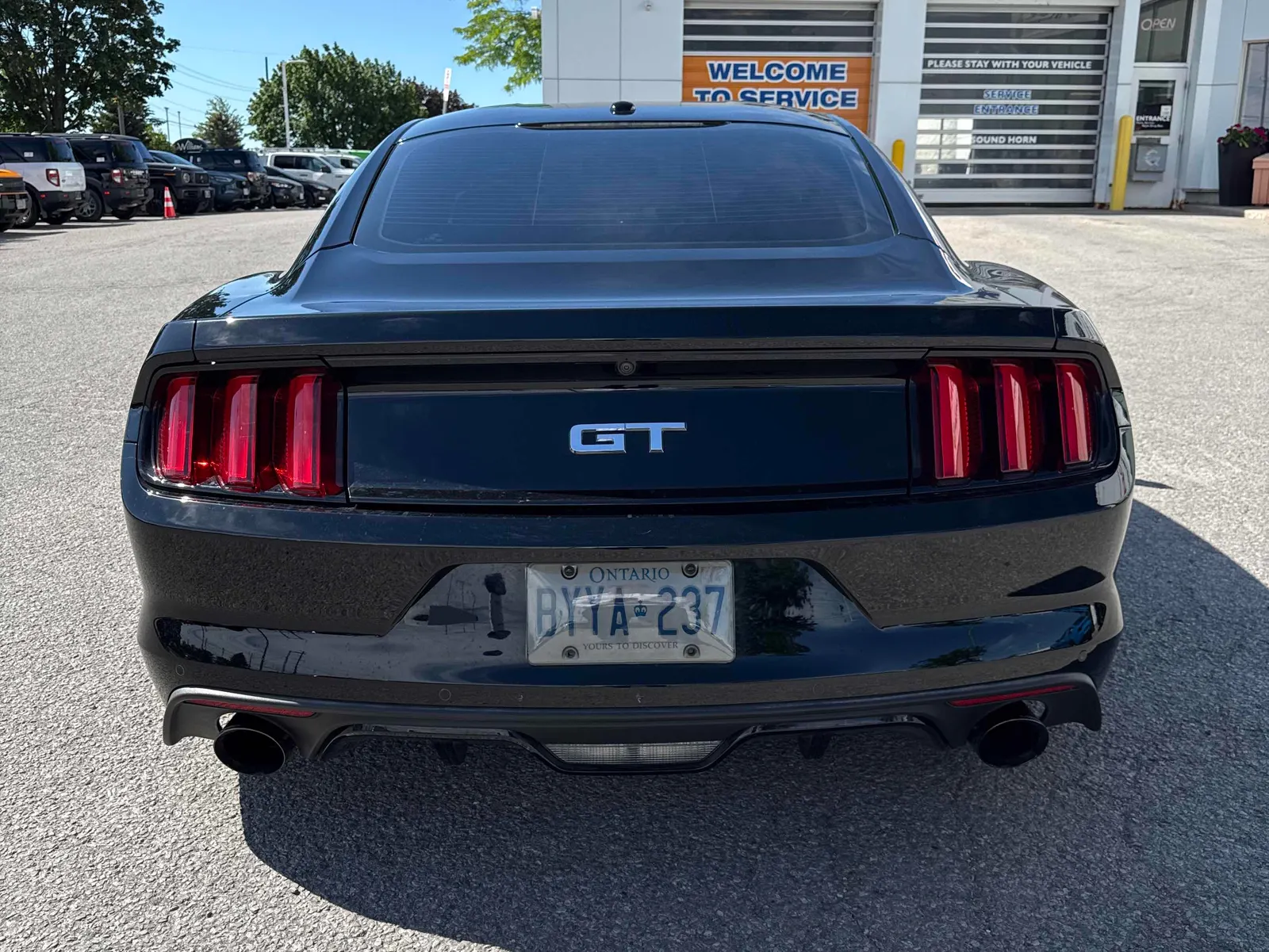 Back