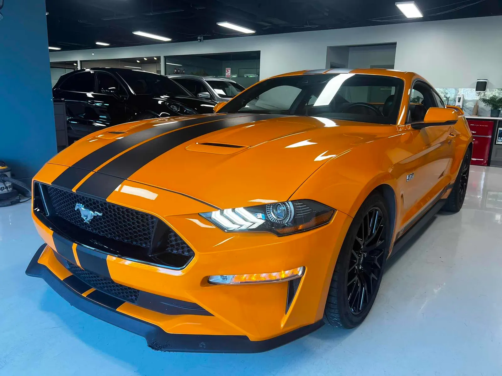 2019 Ford Mustang