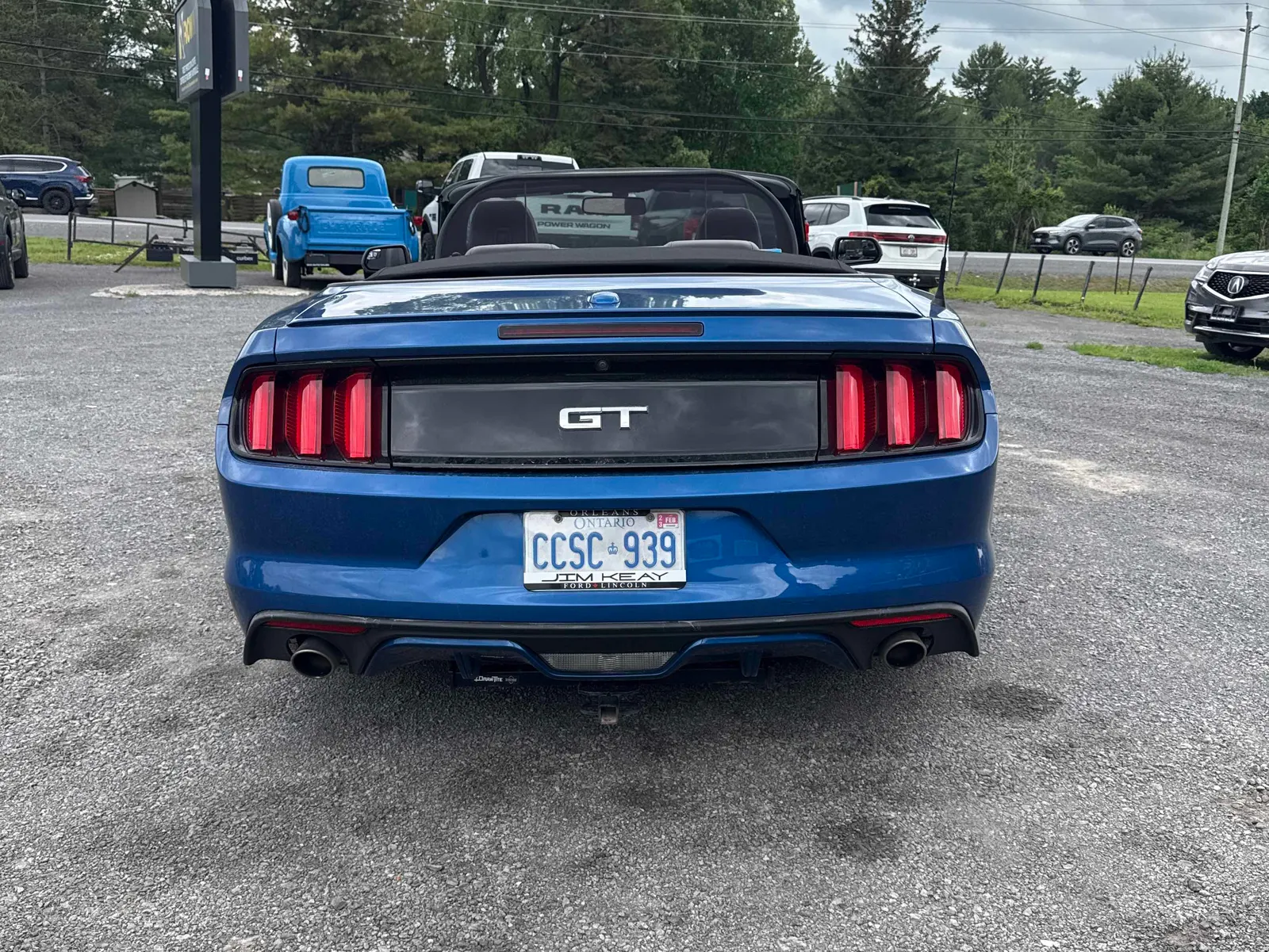 Back