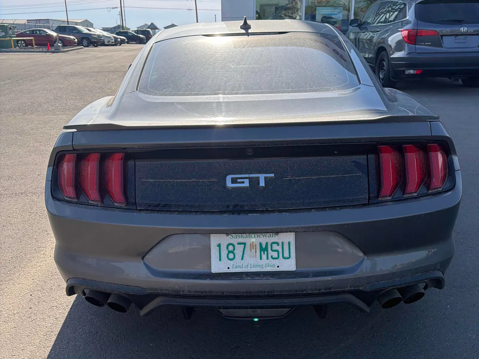 Back