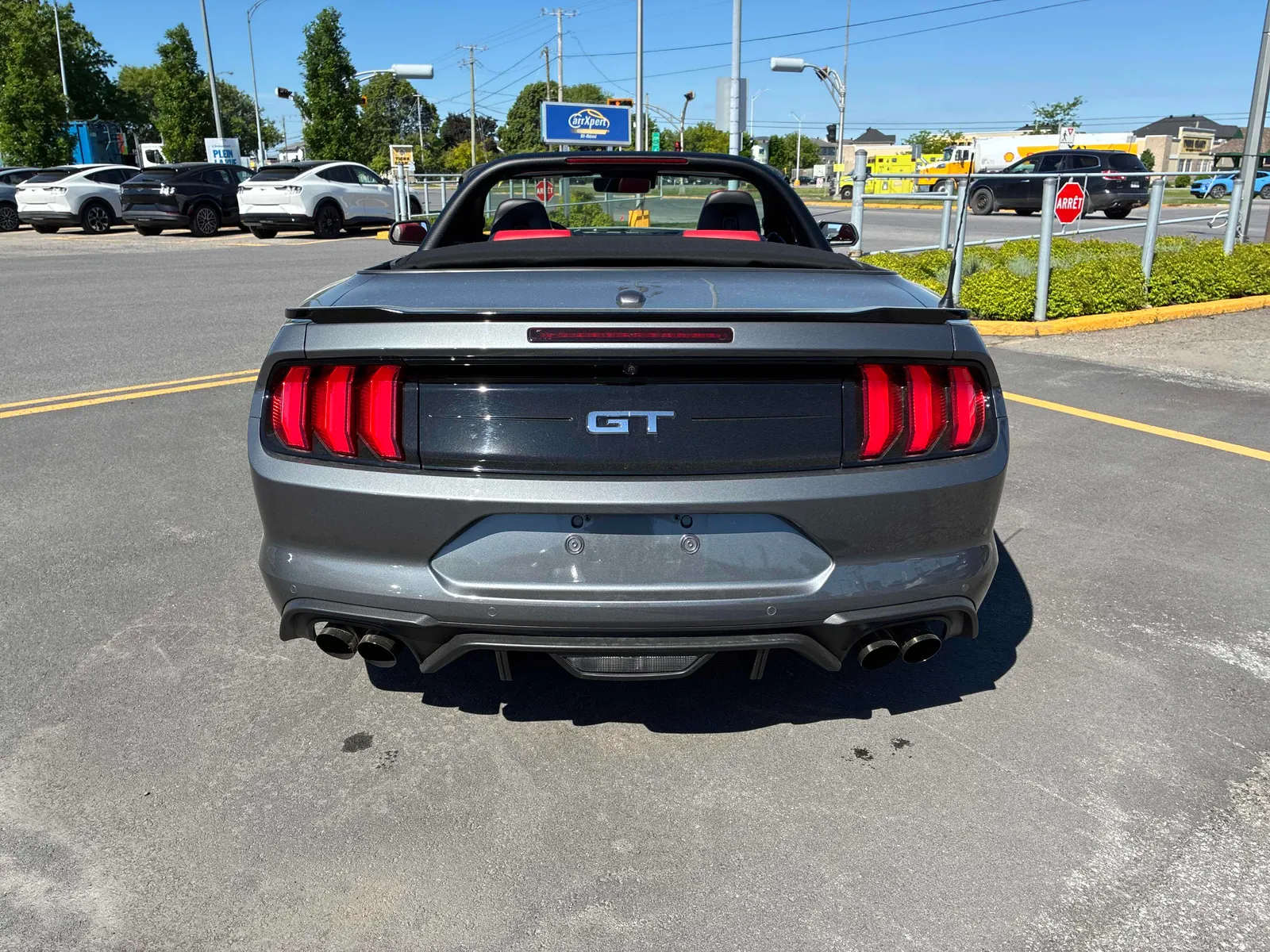 Back