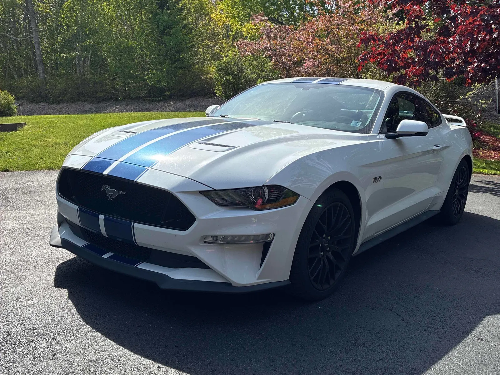 2019 Ford Mustang