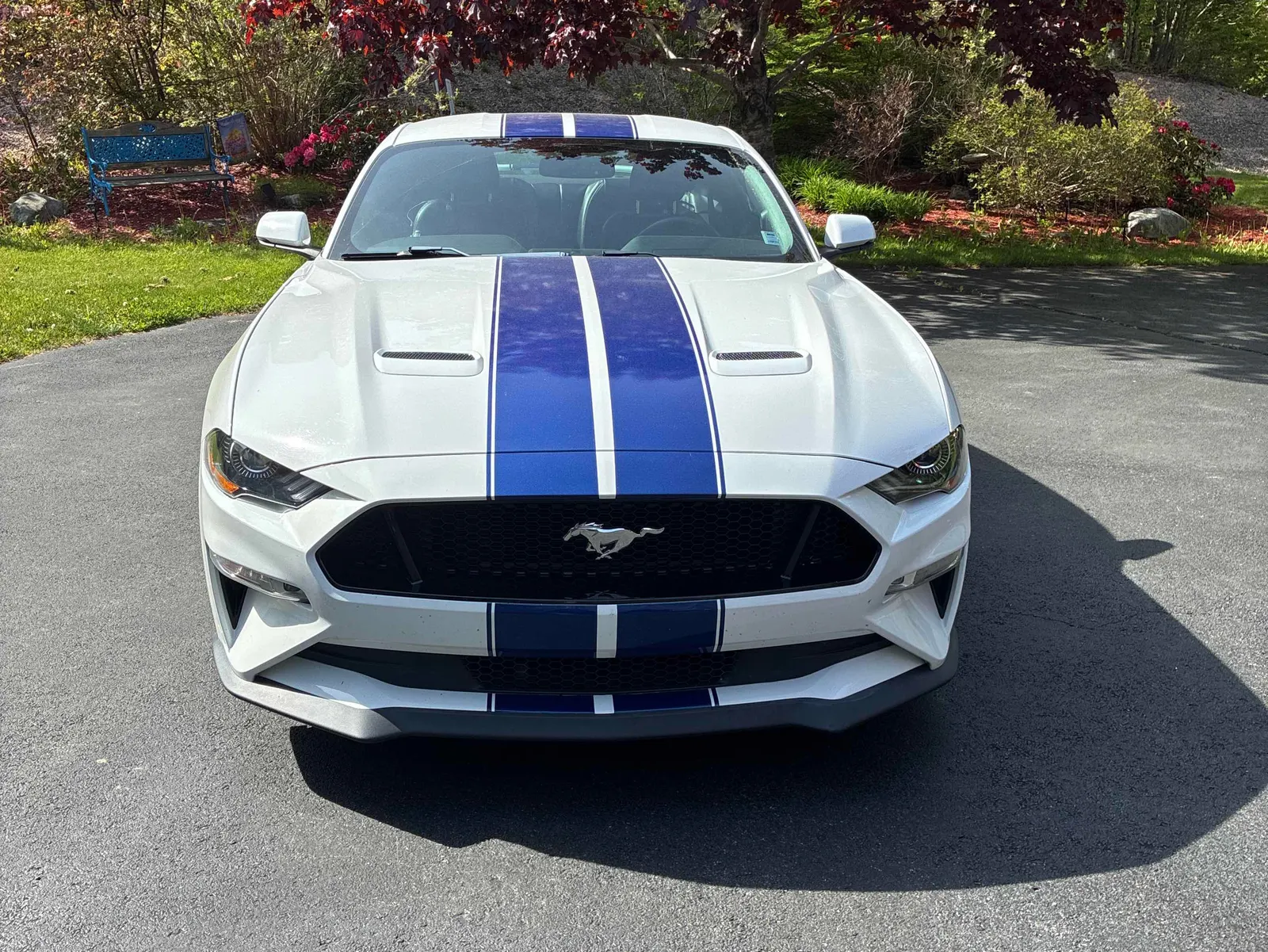 Front