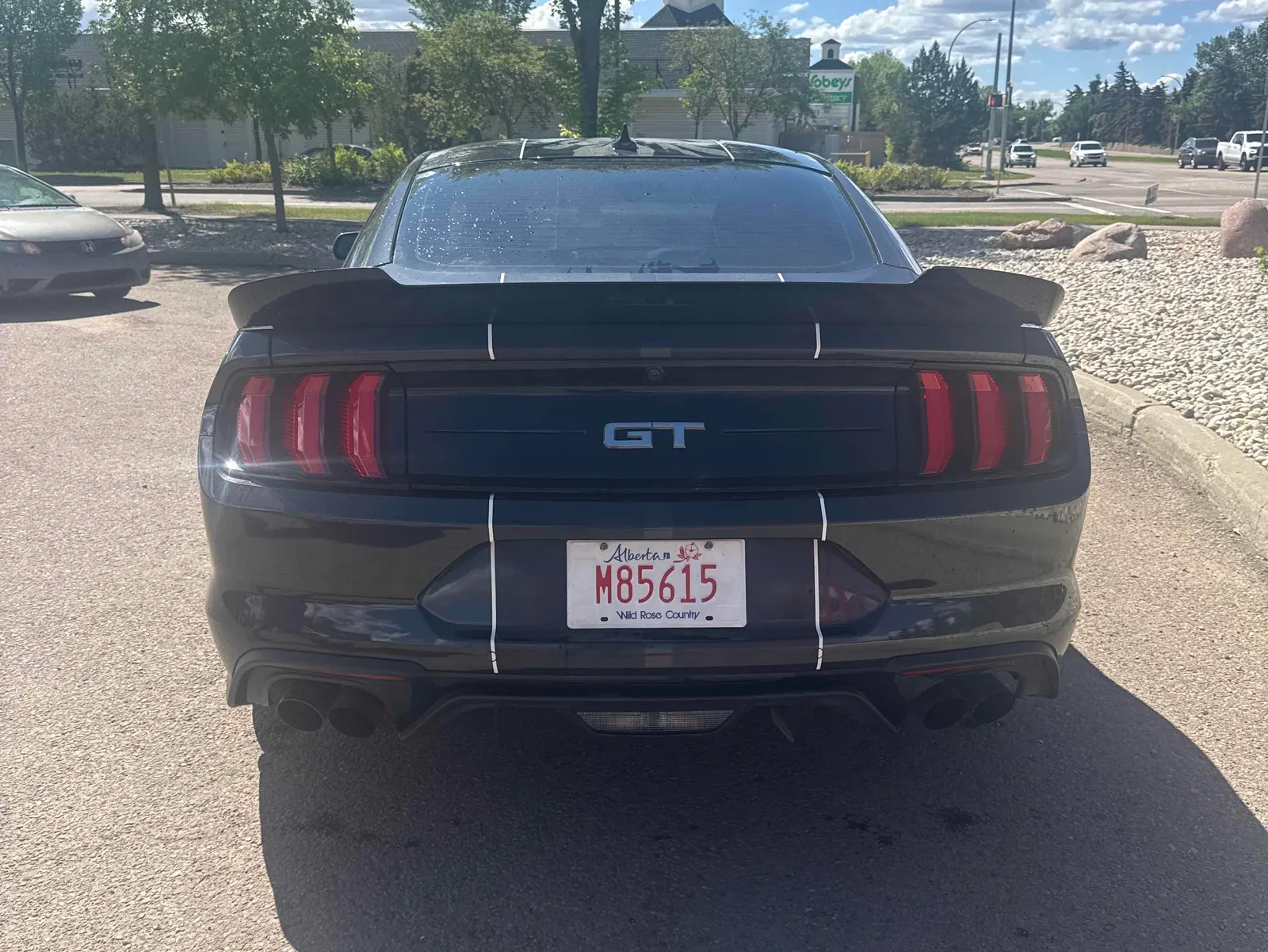 Back