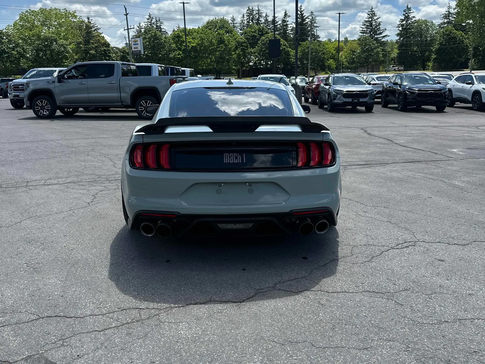 Back