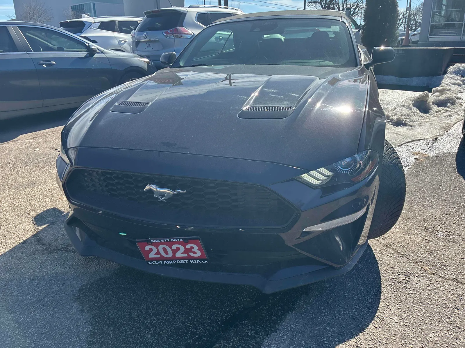 Front