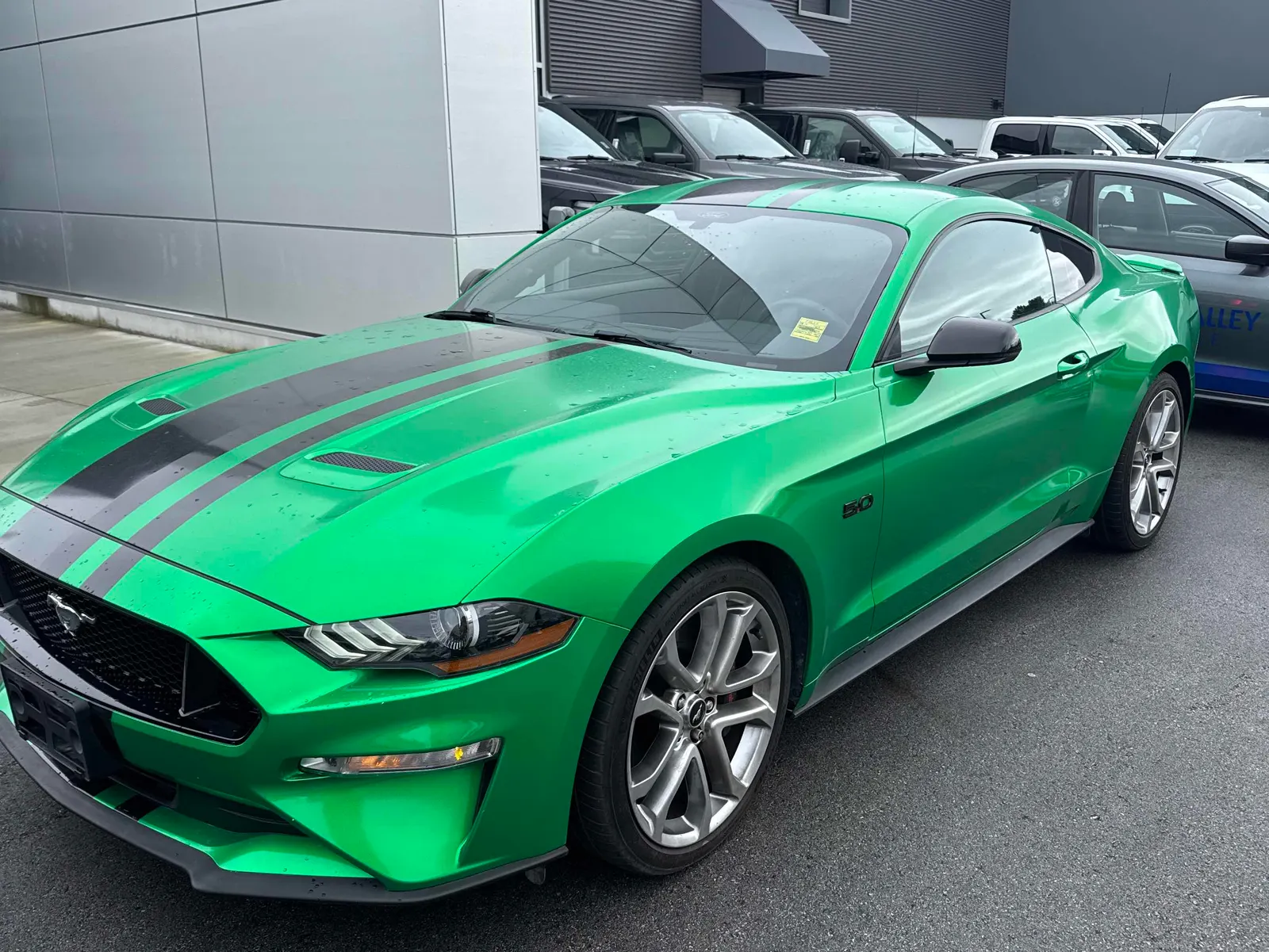 2019 Ford Mustang
