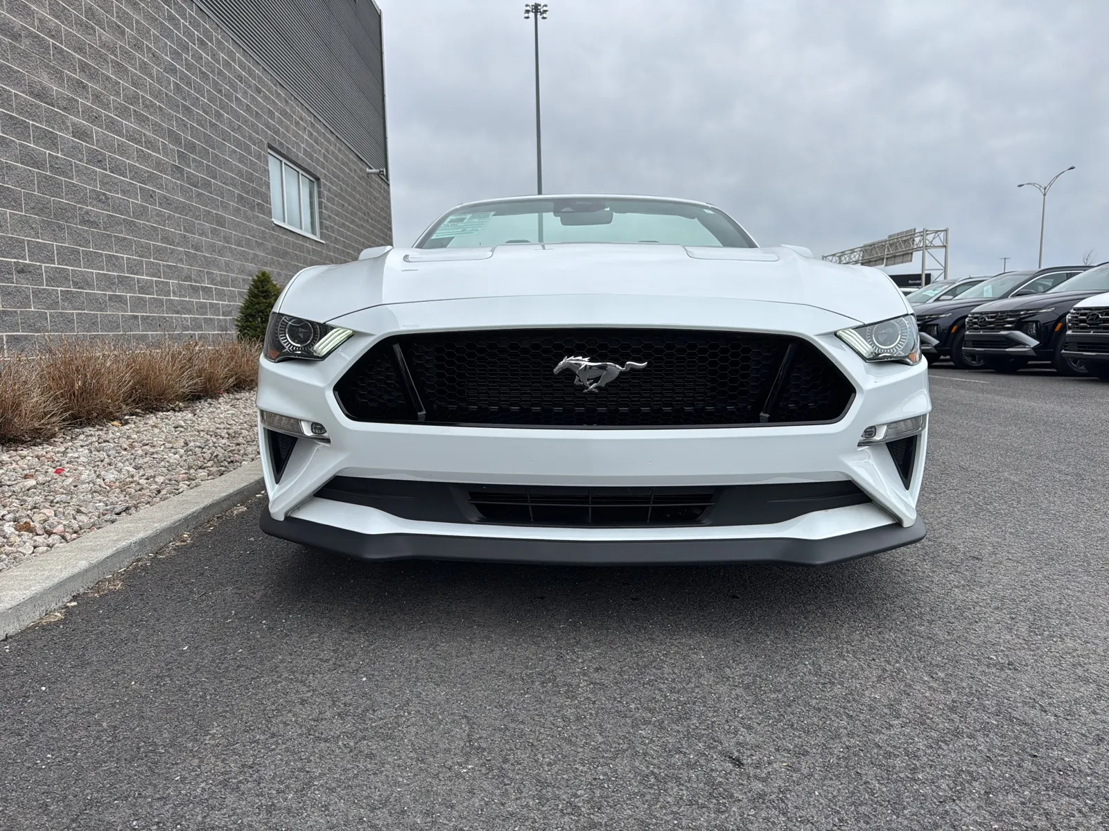 Front
