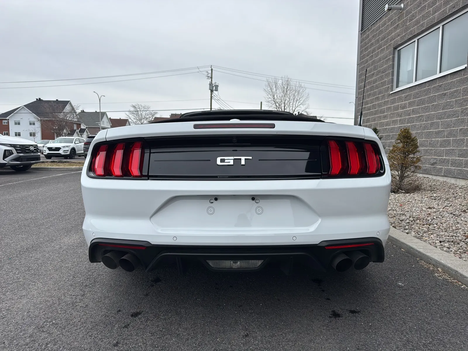 Back
