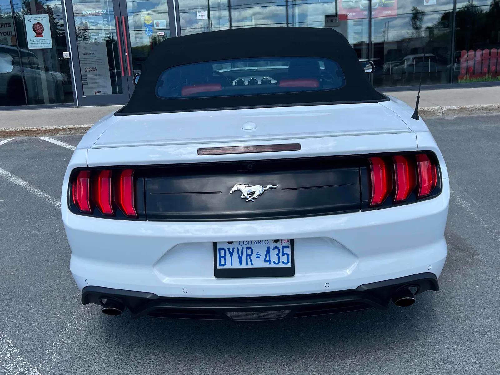 Back