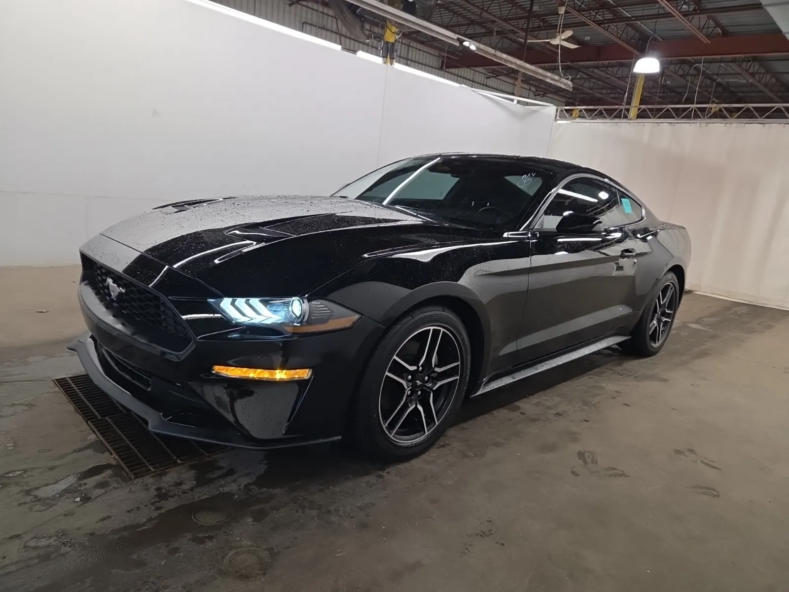 2023 Ford Mustang