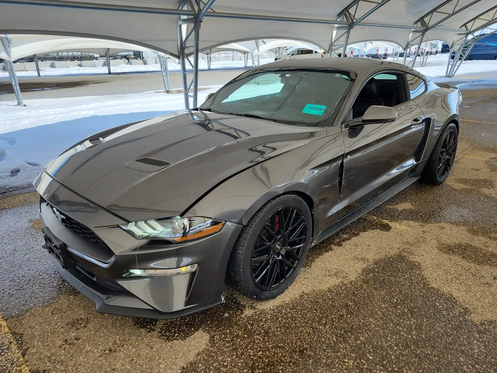 2019 Ford Mustang