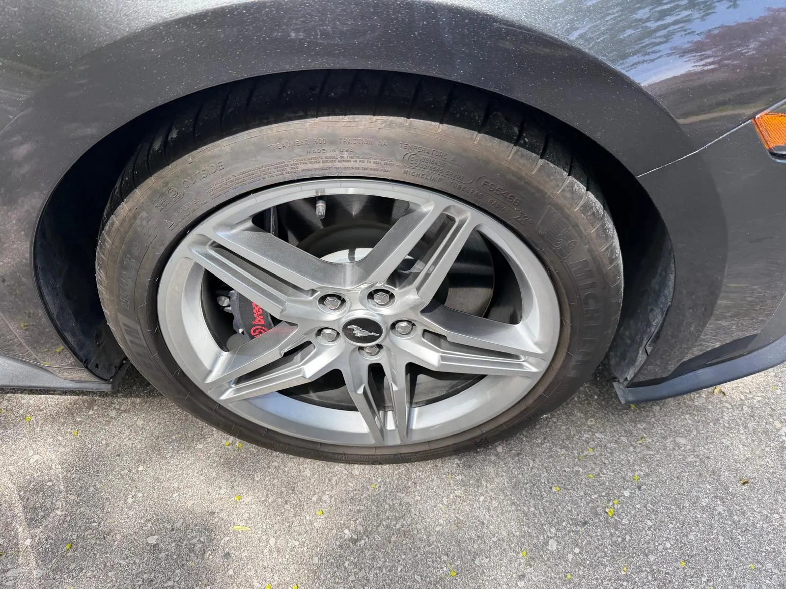 Additional Photo