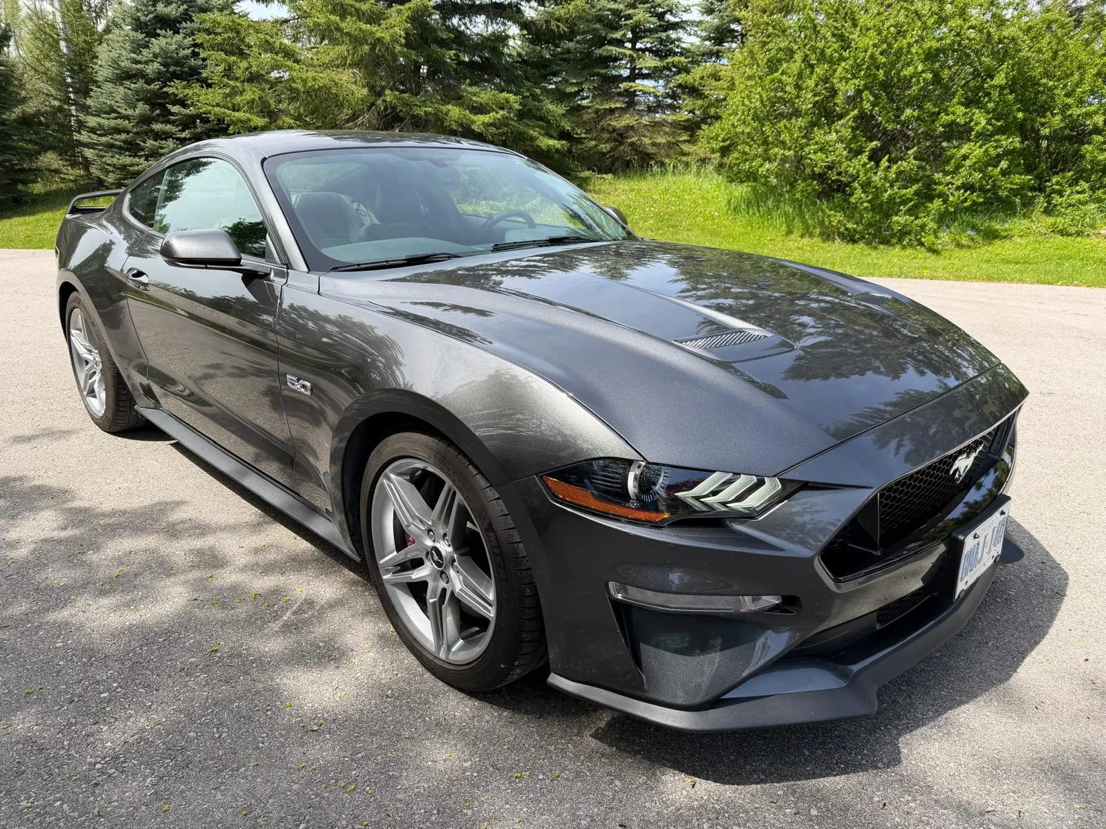 2019 Ford Mustang