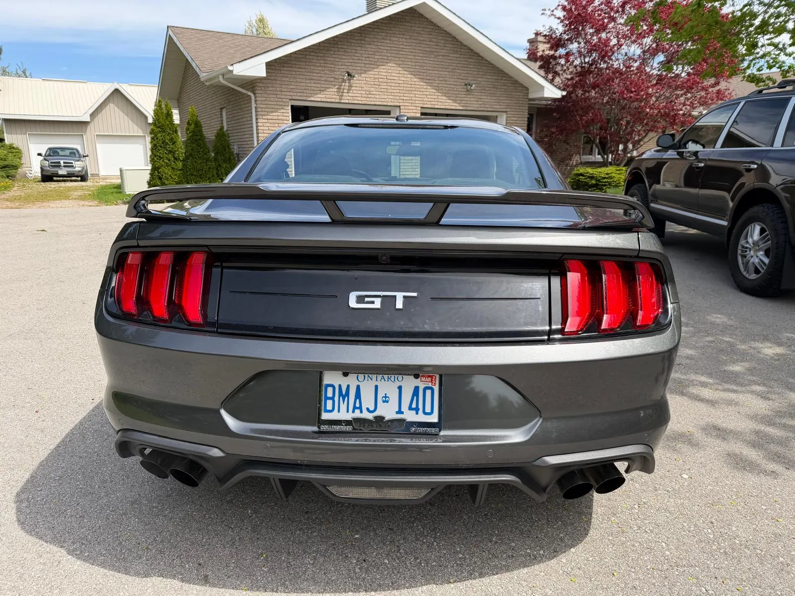 Back