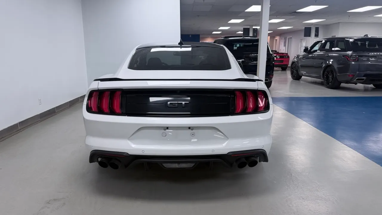 Back