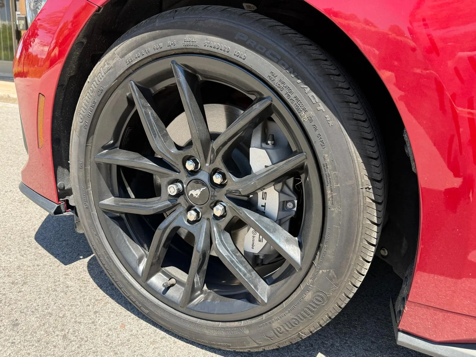 Tire