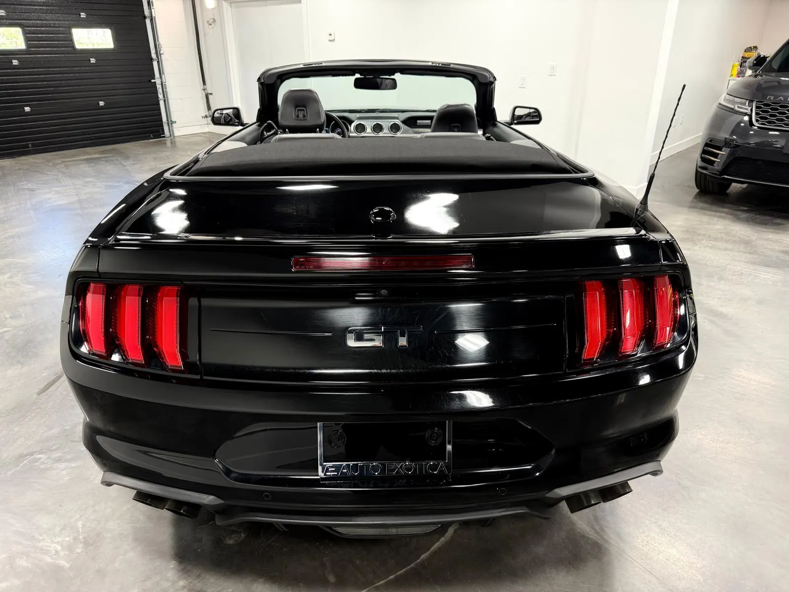 Back