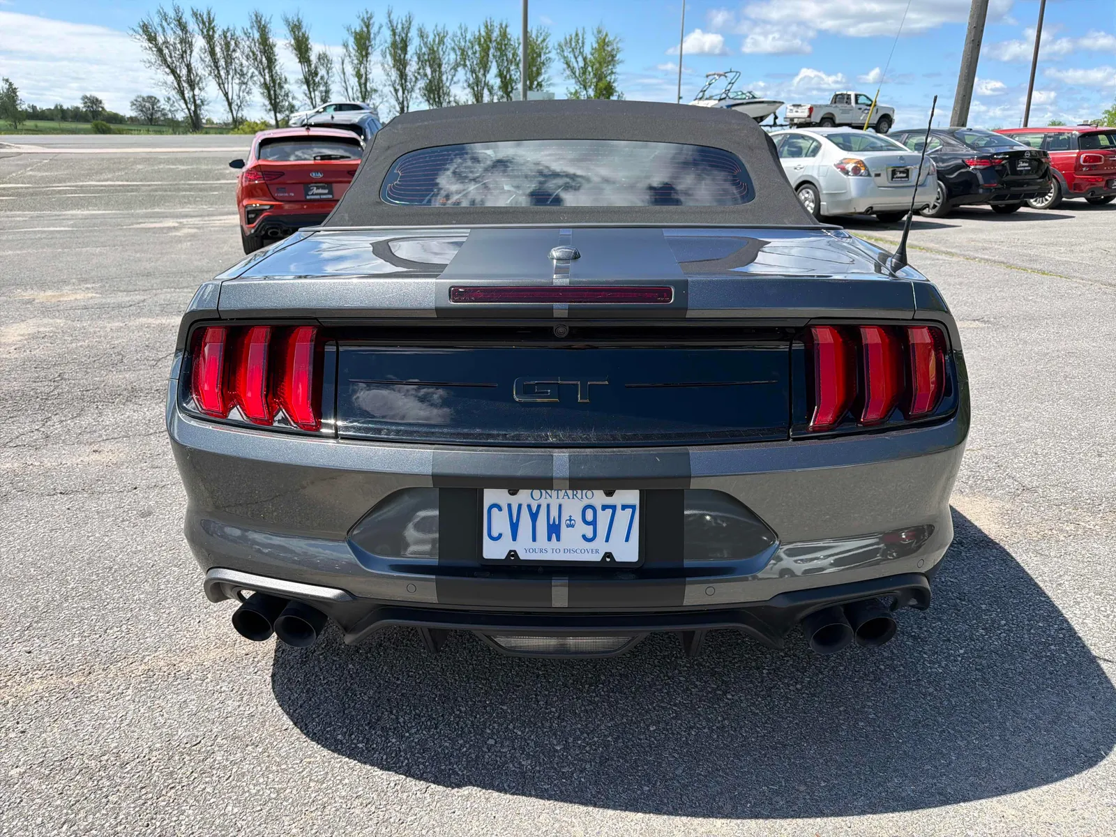 Back