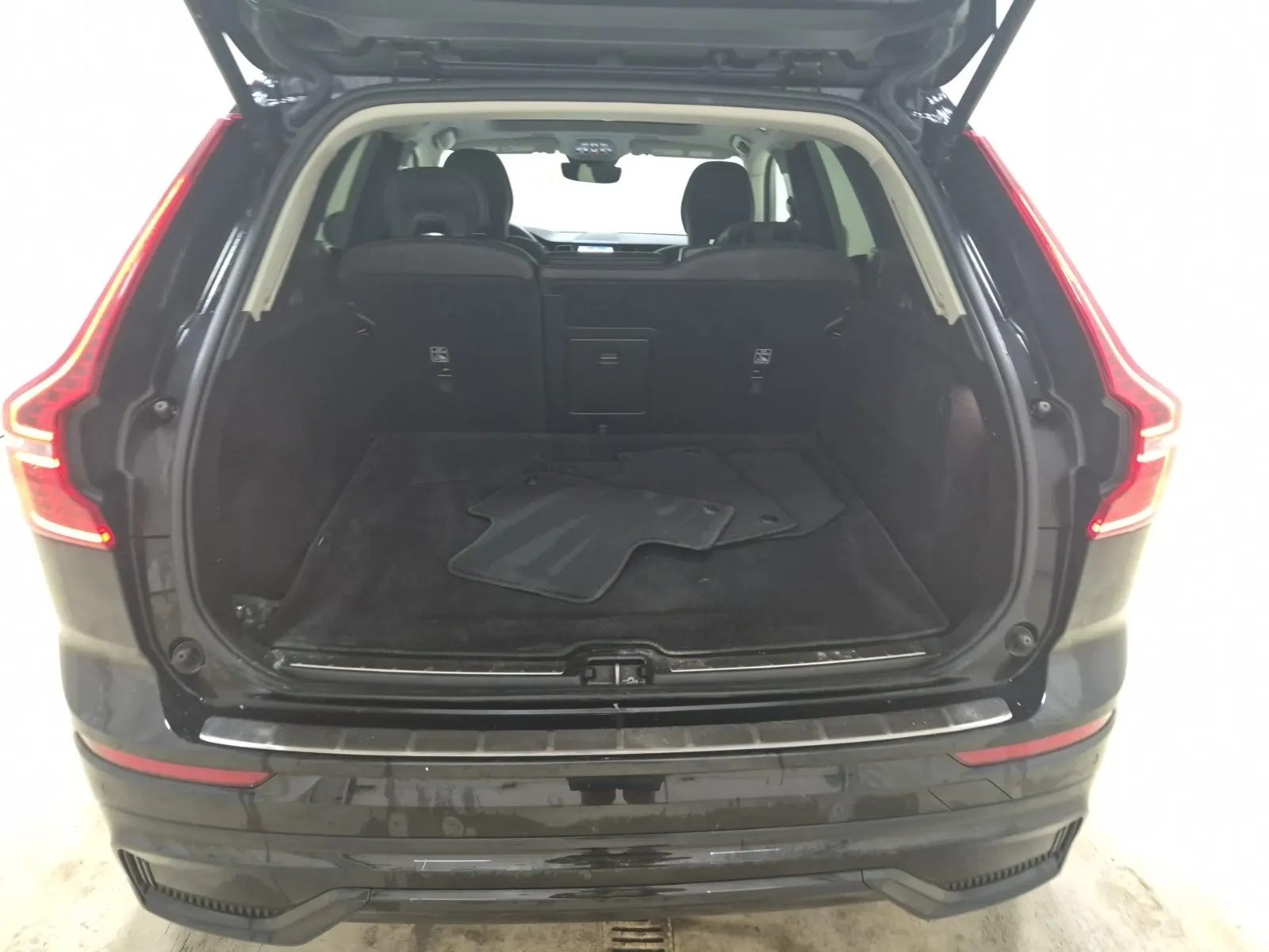 Cargo Area Photo